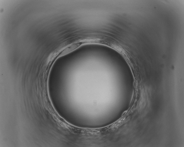 X0000062670337200512230952