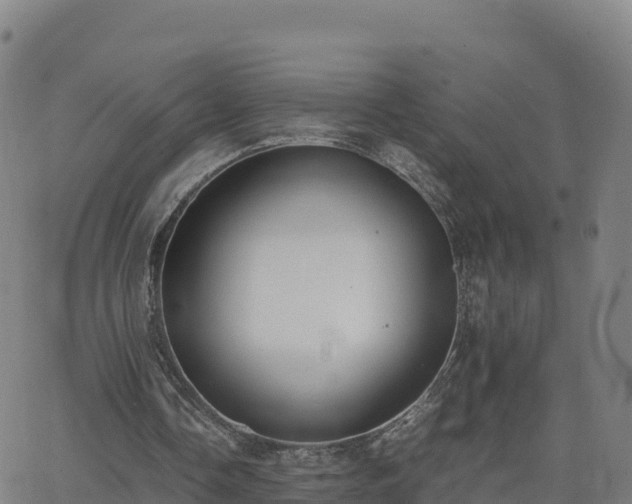 X0000062670338200512230952