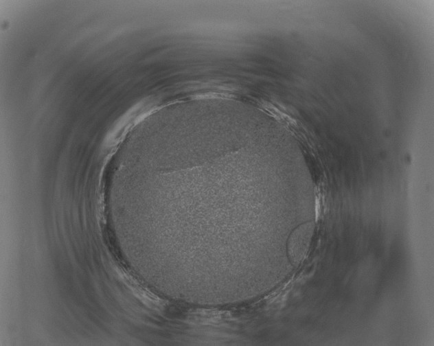 X0000062670339200512230952