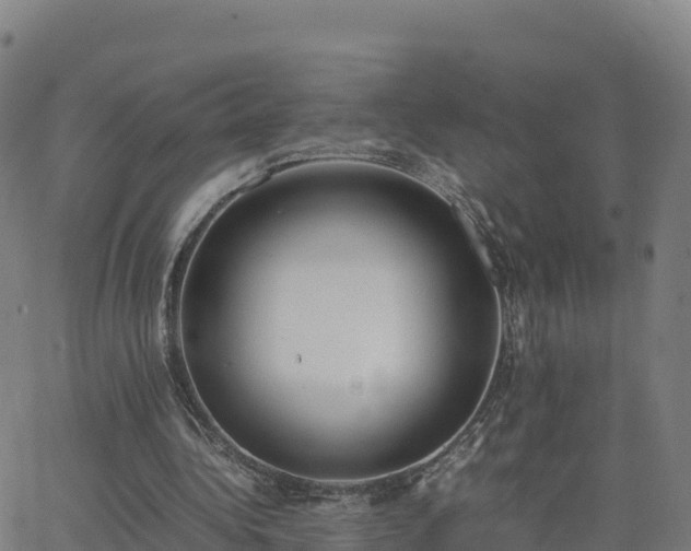 X0000062670340200512230952