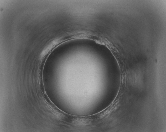 X0000062670341200512230952