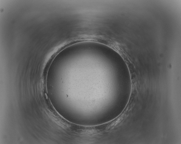 X0000062670342200512230952