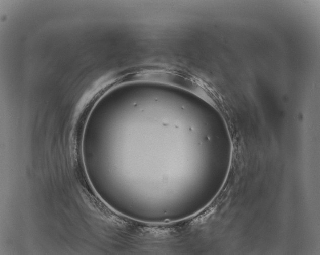 X0000062670343200512230952