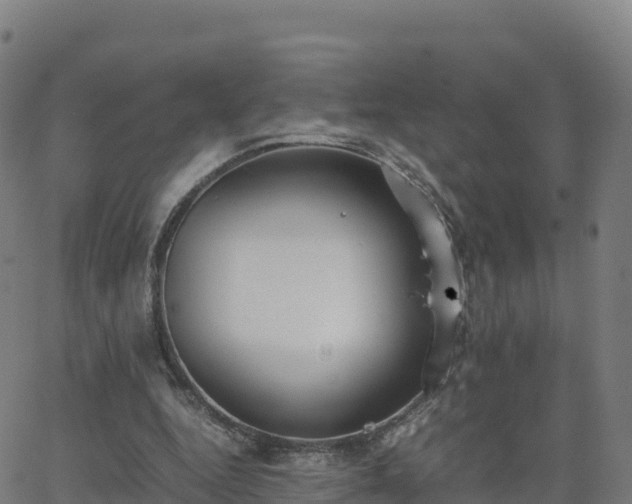 X0000062670344200512230952