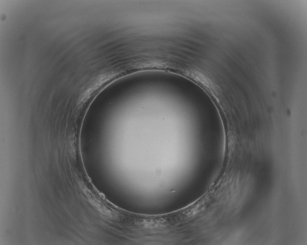 X0000062670345200512230952