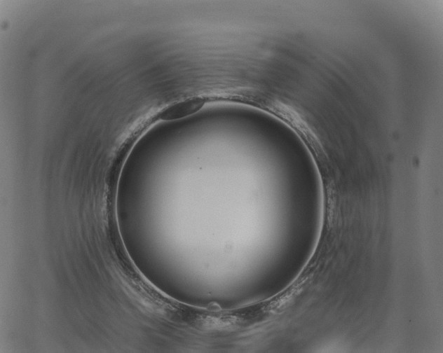 X0000062670346200512230952