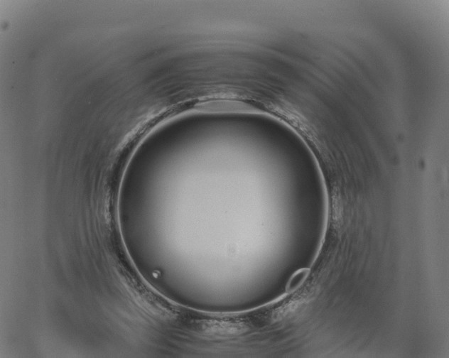 X0000062670347200512230952