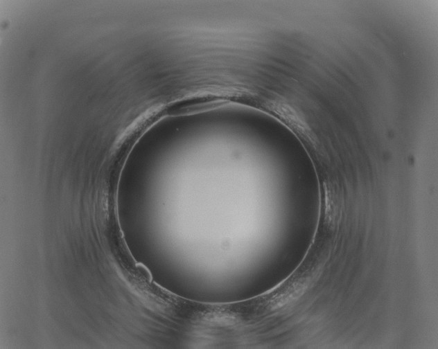 X0000062670348200512230952