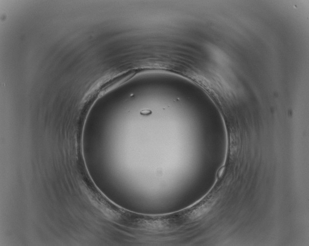 X0000062670349200512230952