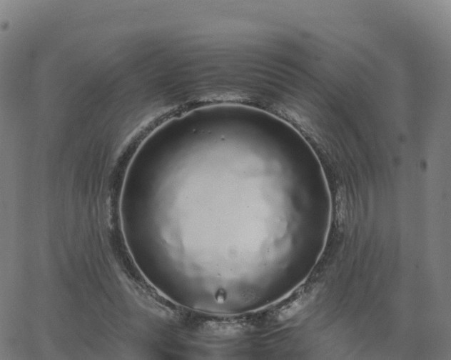 X0000062670351200512230952