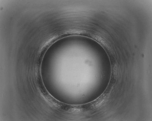 X0000062670352200512230952