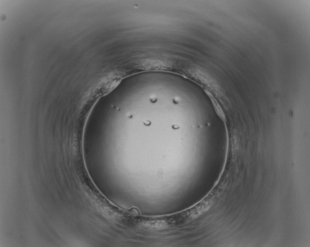 X0000062670353200512230952