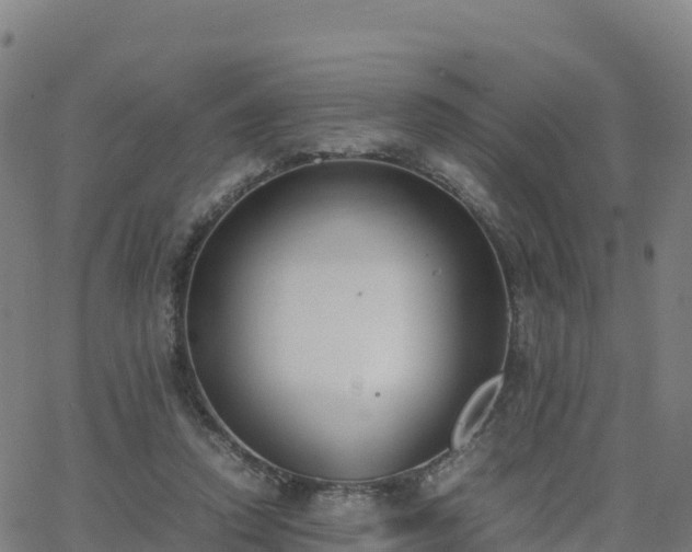 X0000062670354200512230952