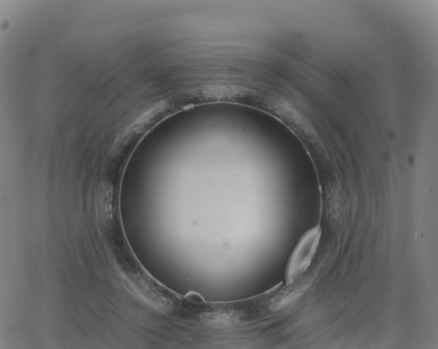 X0000062670356200512230952