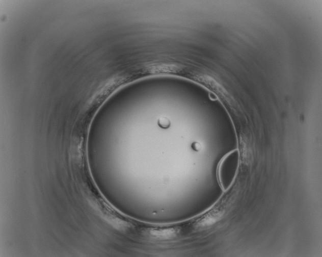 X0000062670357200512230952