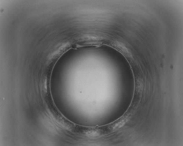 X0000062670358200512230952