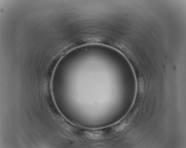 X0000062670359200512230952