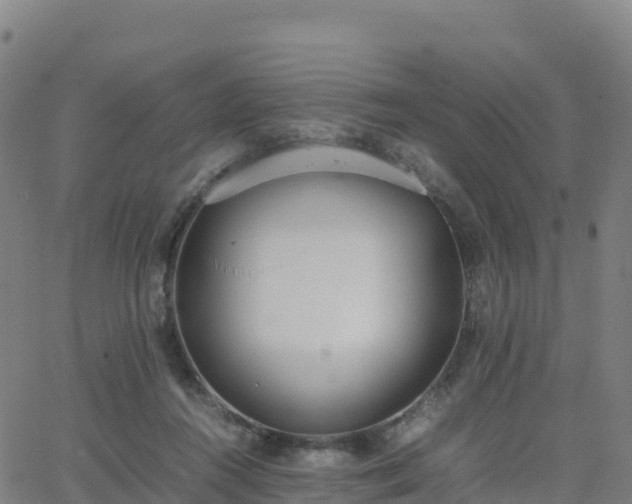 X0000062670360200512230952