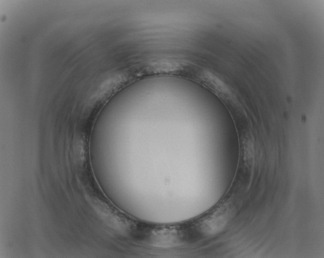 X0000062670362200512230952