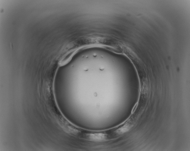 X0000062670363200512230952