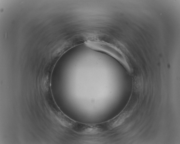 X0000062670364200512230952