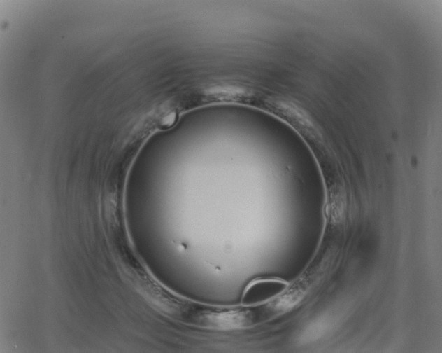 X0000062670365200512230953