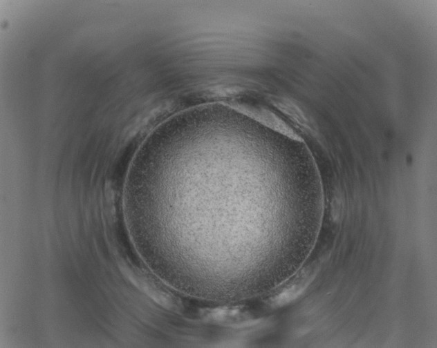 X0000062670366200512230953