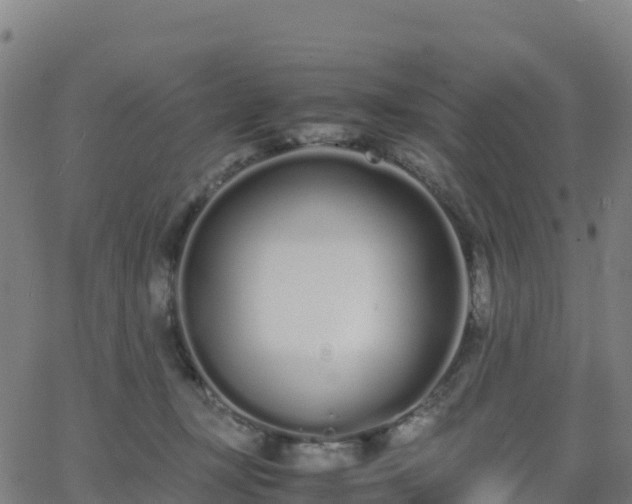 X0000062670367200512230953