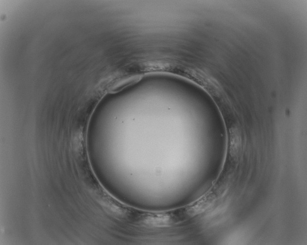 X0000062670369200512230953