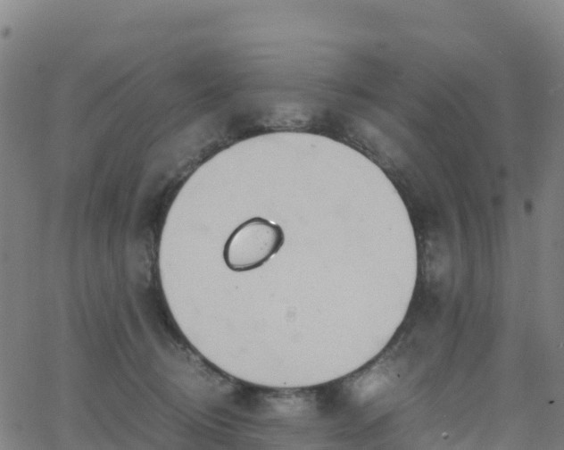 X0000062670370200512230953