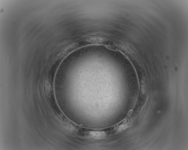 X0000062670371200512230953