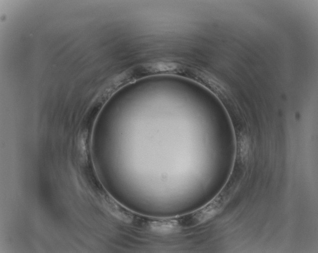 X0000062670373200512230953