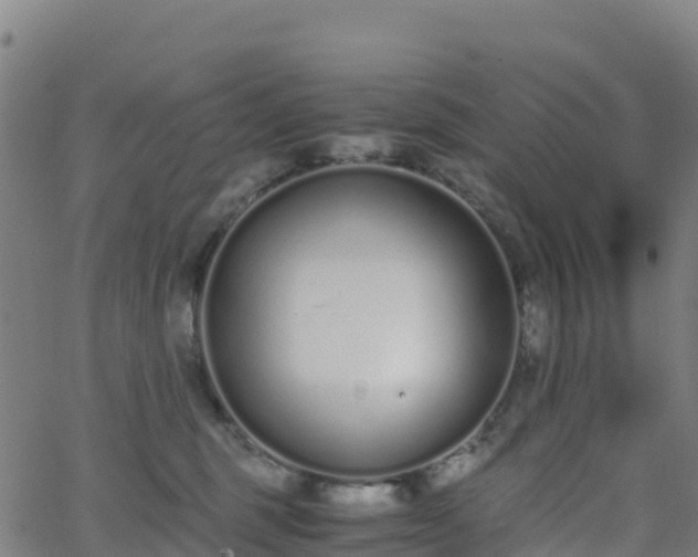 X0000062670375200512230953