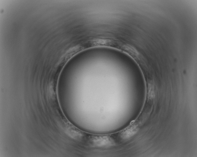 X0000062670377200512230953