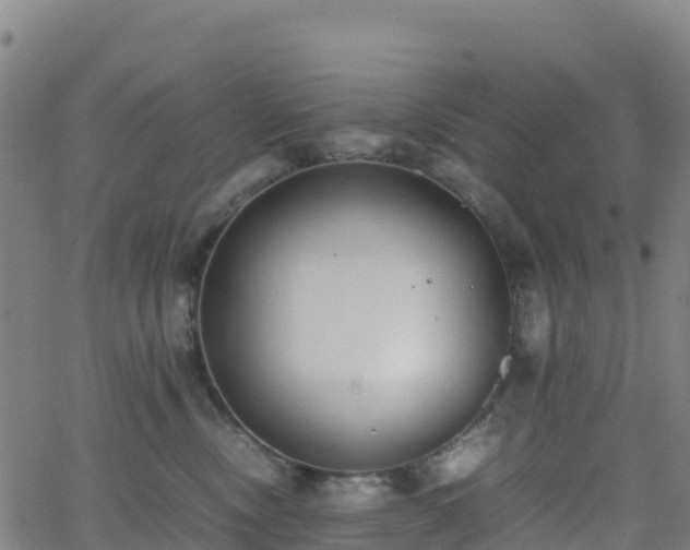 X0000062670378200512230953