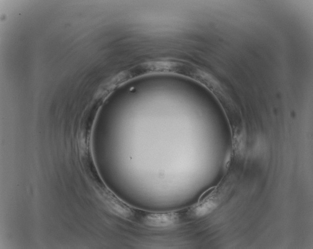 X0000062670381200512230953