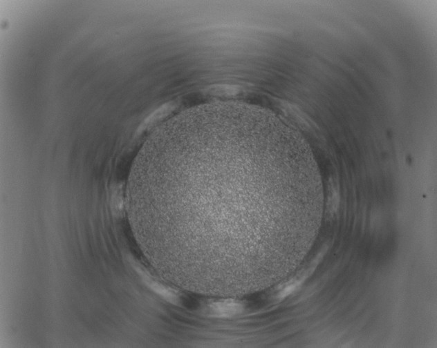 X0000062670383200512230953