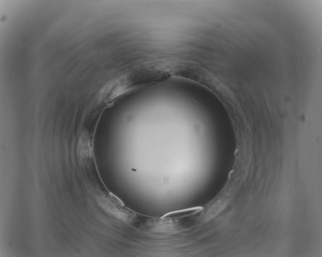 X0000062670384200512230953