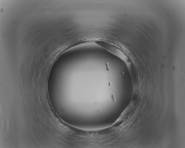 X0000062670385200512230952