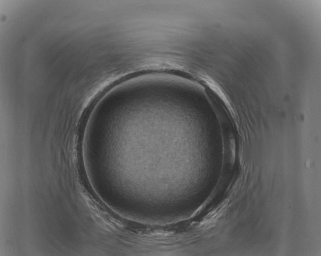 X0000062670387200512230952