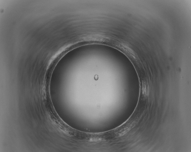 X0000062670388200512230952