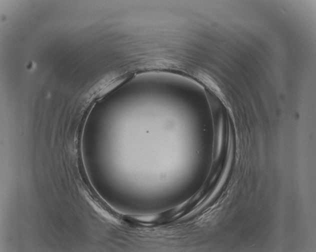 X0000062670389200512230952