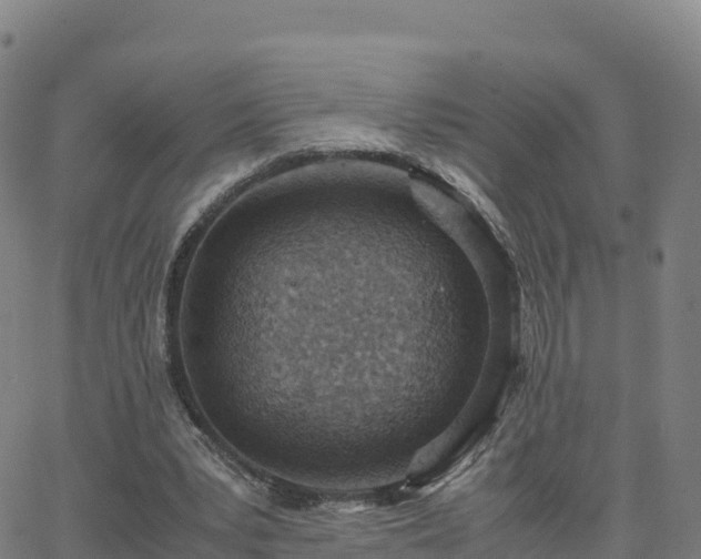 X0000062670391200512230952