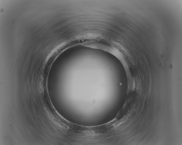 X0000062670392200512230952