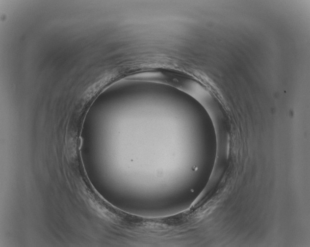 X0000062670393200512230952