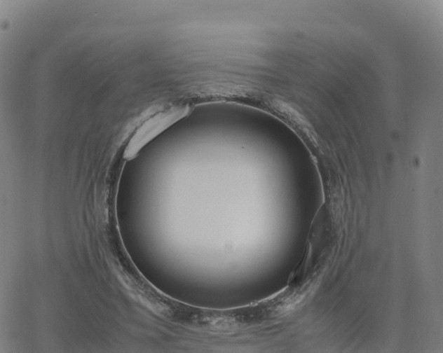 X0000062670395200512230952