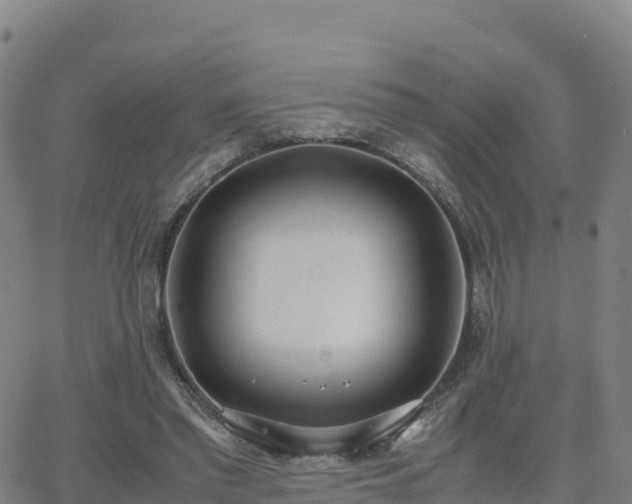 X0000062670397200512230952