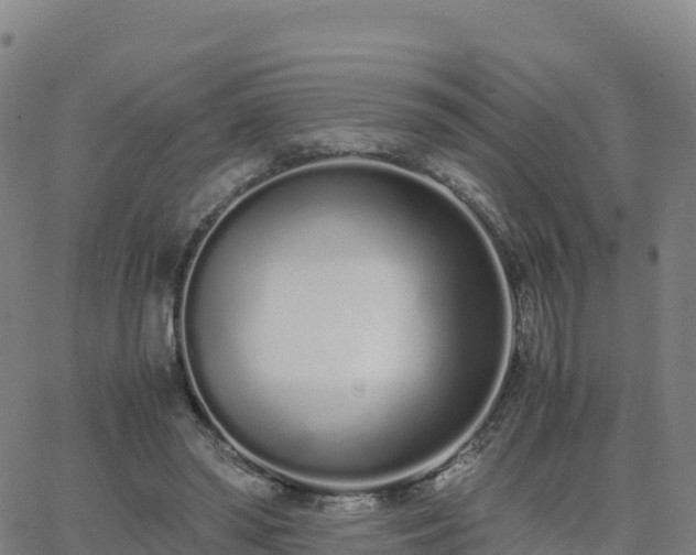 X0000062670398200512230952