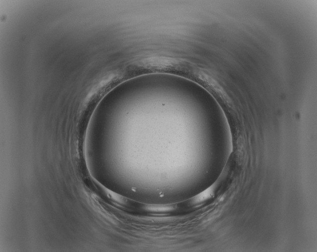 X0000062670399200512230952