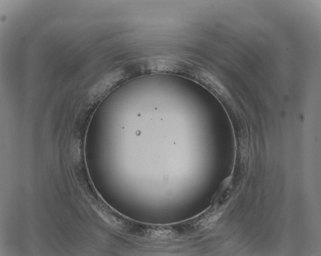 X0000062670401200512230952